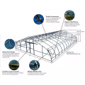 Galvanized steel Frame Single span PE Film greenhouse