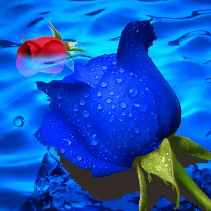 5D Diamond Painting Dripping Rose DIY Diamond Embroidery Painting