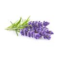 Aceite esencial de lavanda OEM