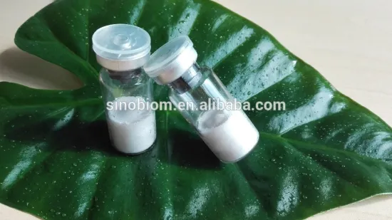 Poly-L-lactic acid injection dermal filler