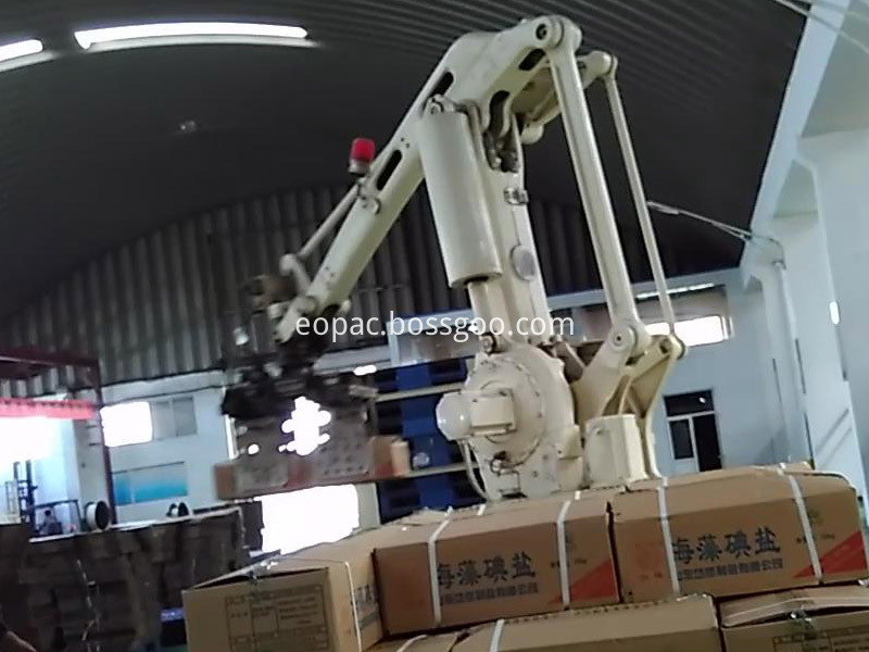 Hot Sale Automatic Robot Palletizer