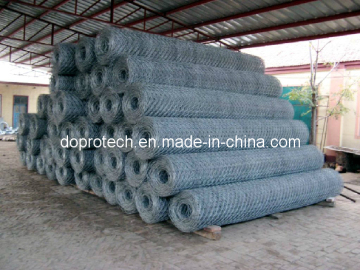 Hexagonal Wire Mesh for Gabion (DP-HWM)