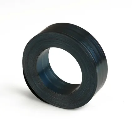 Stainless Steel Flat Spring Spring Coil