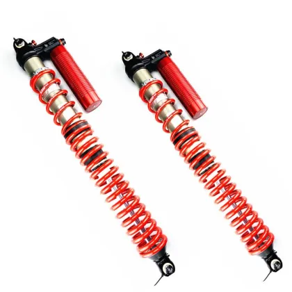 Advanced Desert Racing Coilover Suspension with Eibach Springs - 4-Way Adjustable