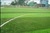 Patented Artificial Grass/ Synthetic Turf