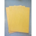 WNY300 Aramid Fiber Jointing Sheet