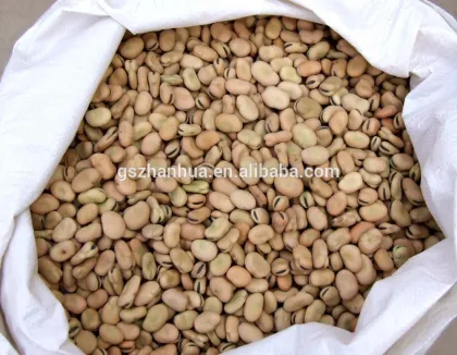 2016 Crop Broad Beans