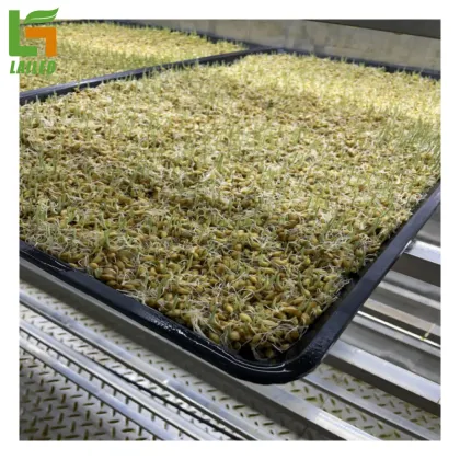 40ft Container Farm Greenhouse: Smart Farming for Grass