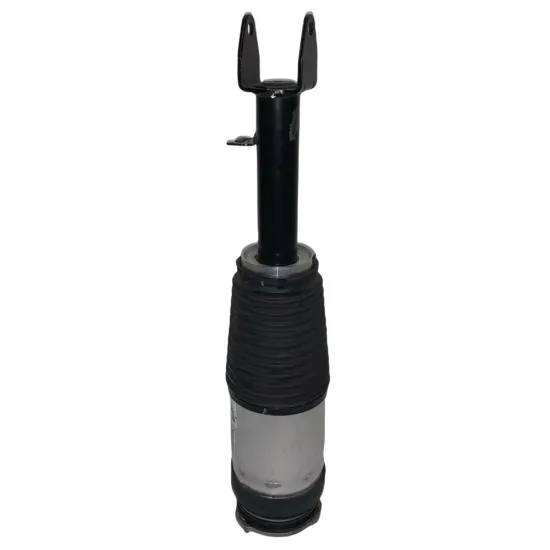 BAINEL Front Air Spring RWD OE 1067362-77-B for TESLA Model S 2016-2021