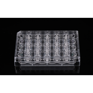 Placas de cultivo celular con fondo de vidrio de 24 pocillos