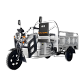 Silver passenger and cargo tricycle