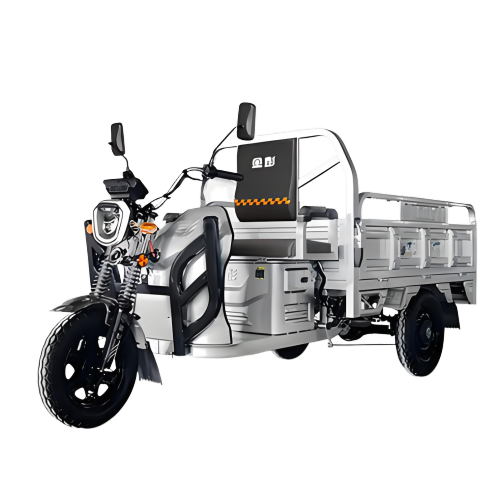 Silver passenger and cargo tricycle