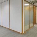 Fire Room SPD Film Privacy Frost Smart Glass