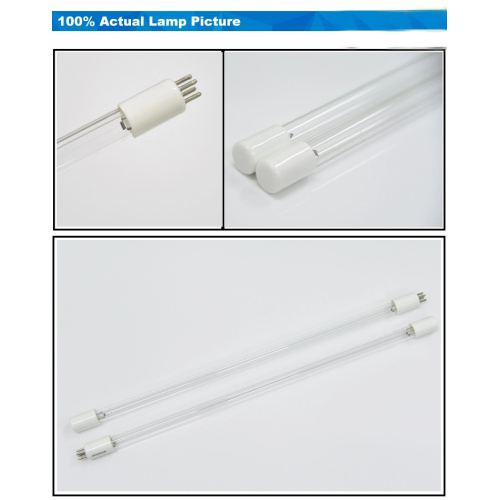 Standard 4-pin UVC sterilization tube lamp