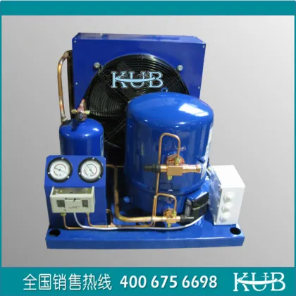 Cold Storage Cooling System: Cold Room Refrigeration Solutions