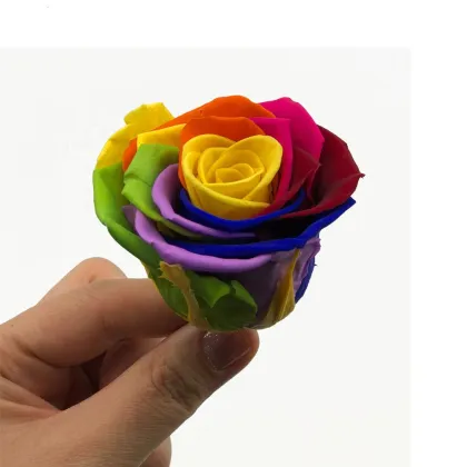 Beautiful Rose Flowers Stabilized Eternal Forever Preserved Roses