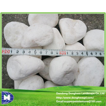 Natural Stone White Color, Decorative White Stone, White Stone Garden Size 3-120mm