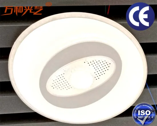LED Master Room Ceiling Lights with Monitor Control