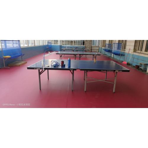 ITTF approved Table Tennis PVC sports mat