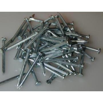 electro/hot dipped galvanized concrete steel nail