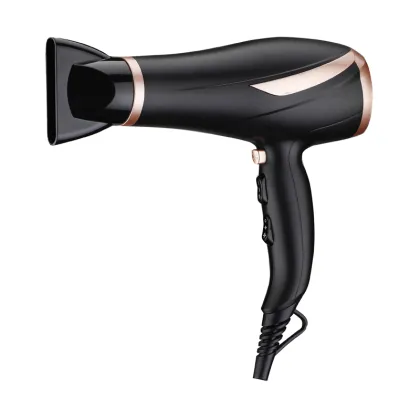 Professional Salon Hair Dryer: Keep Hair Silky Smooth, DC 2000W Low Power