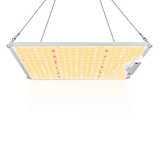Regular LED Grow Light 100W