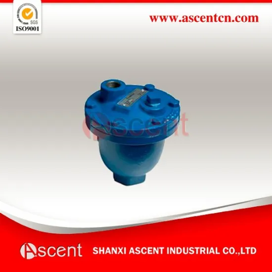 Quick Release Air Valve