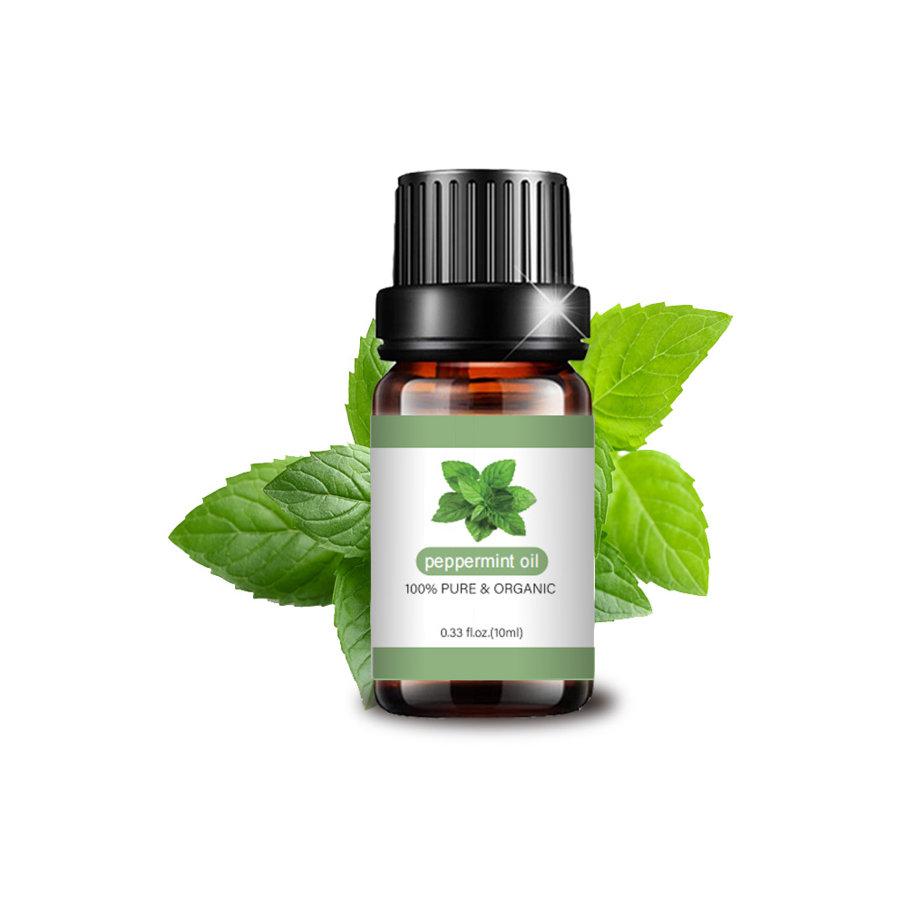 Steam Distilled Essential Oil Peppermint Oil Wholesale