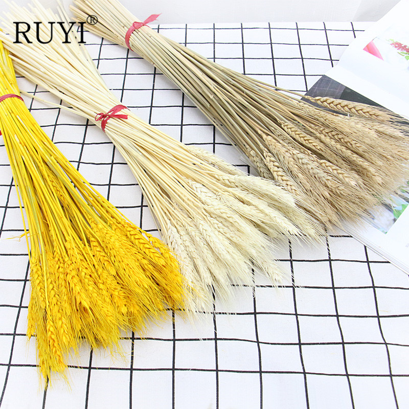100Pcs Natural Dried Flower Wheat Ear For Home Decoration Flower Arrangement Wedding decoration Real Flower Grass Shooting Props