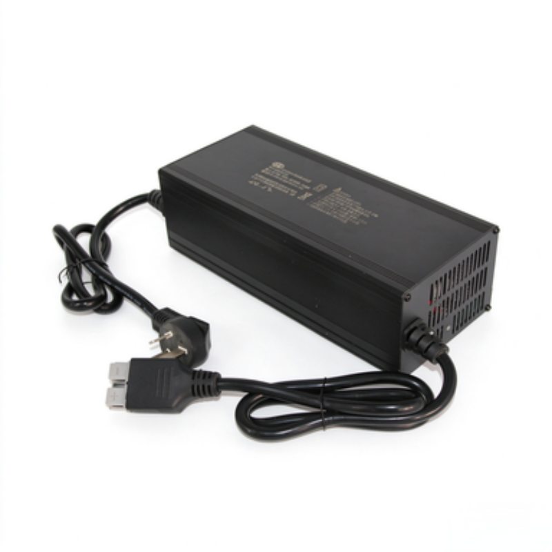 Wholesale electric tricycle battery charger25A
