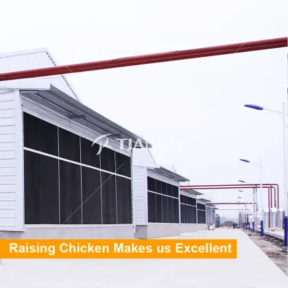 China manufacturer prefabricated poultry farm structures