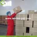 Supply Wholesale Fruit Diet Low Pesticide Goji Berry