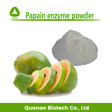 Natural Food Additives Papaya Extract Papain Powder