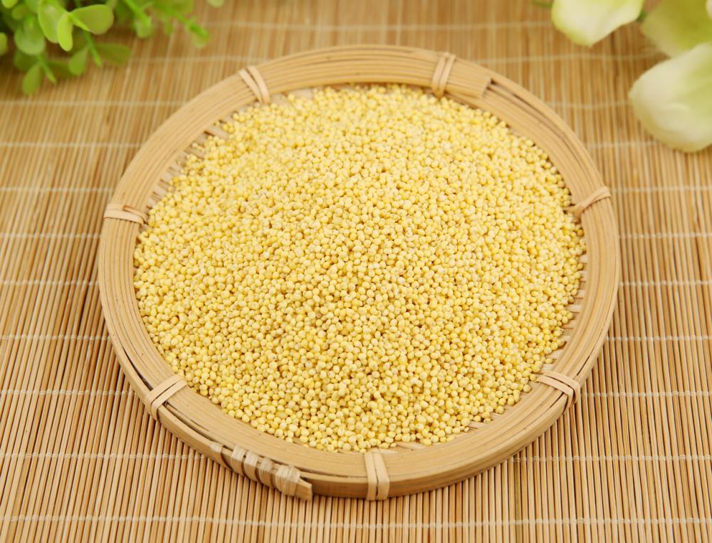 Grain Rice Yellow