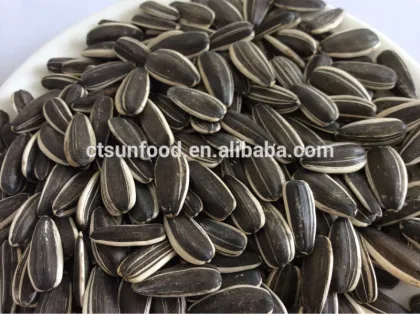 Raw sunflower seed,black sunflower seed ,sunflower seed 5009