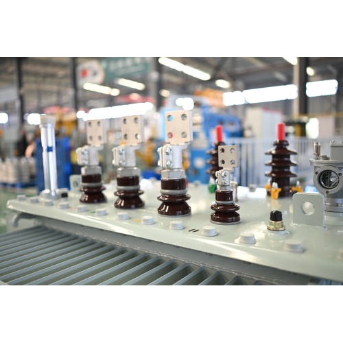 Trasformatore di distribuzione S13-M-30 20KV