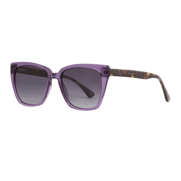 Heißer Verkauf übergroße Katzen -Augenlicht -Acetat -Sonnenbrille