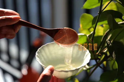 Premium Acacia Honey from China raw organic bee honey supplier