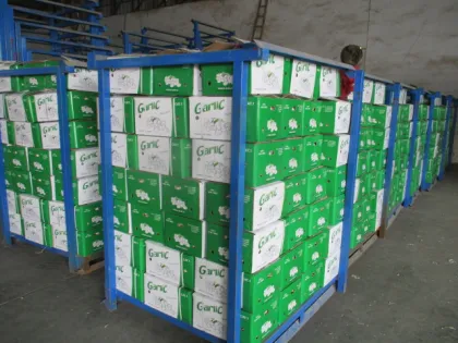 Normal Garlic From Jinxiang