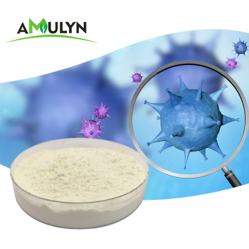 Food Grade Lactobacillus rhamnosus Probiotics Powder