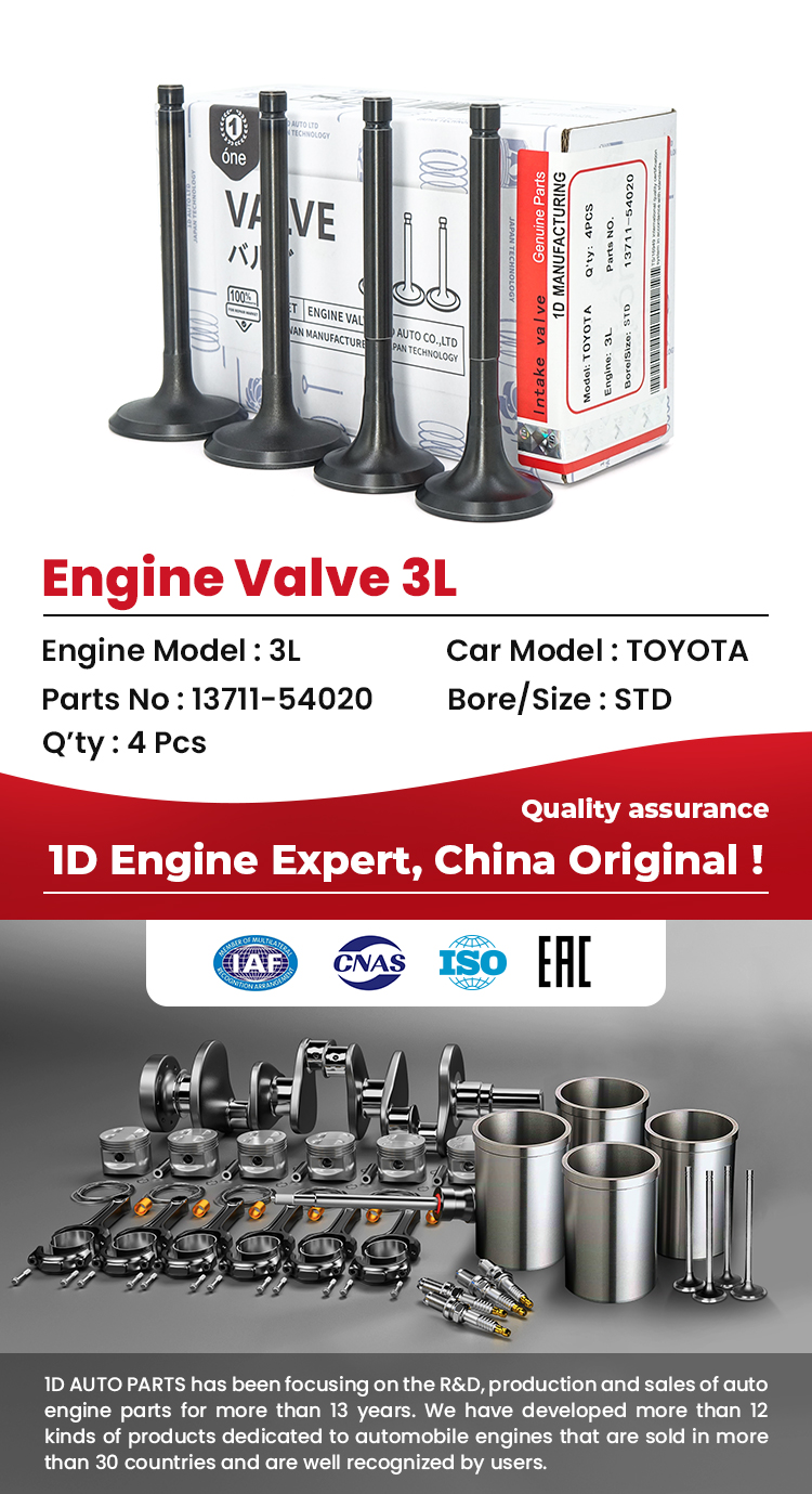 Toyota 3L Engine Valves 