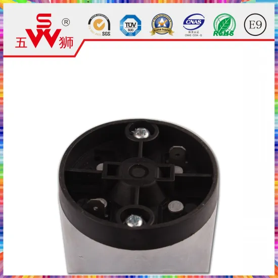 Electric Horn Motor for Auto Part