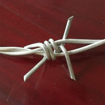 galvanized barbed wire