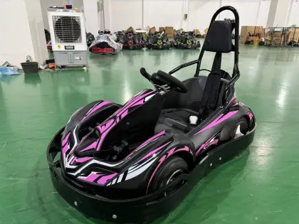 EGS Go Karting: Wholesale Factory Kart for Kids Go Kart Racing