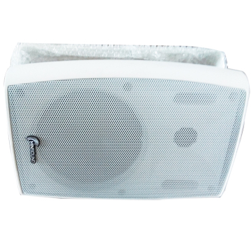 6,5 Zoll 30-40W Hifi Wandhänge-Lautsprecher
