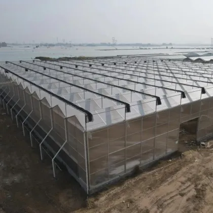 Multi-span PC Board Plastic Greenhouse