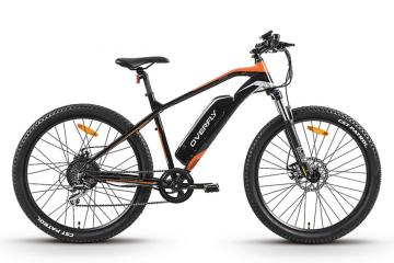XY-Sportsman eMTB with stable performance