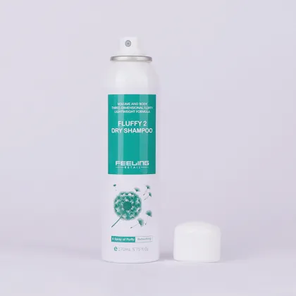 Custom Logo Private Label 170ml Hair Dry Shampoo Spray
