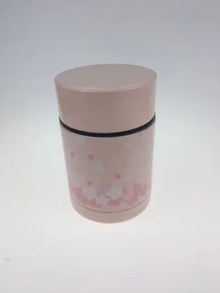 500mL Stainless Steel Food Thermal Pot