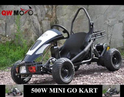 QWMOTO CE 800W Go Kart for childern use Only 36V 800W Electric Buggy Go Kart Mini Racing go kart